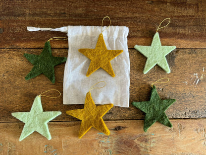 Set of 6 Festive Stars Decorations - Harmony Mint